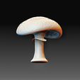 Mushroom 2.jpg Mushroom