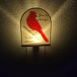 20220818_144524.jpg "Always In Our Hearts" Cardinal Lithophane Nightlight