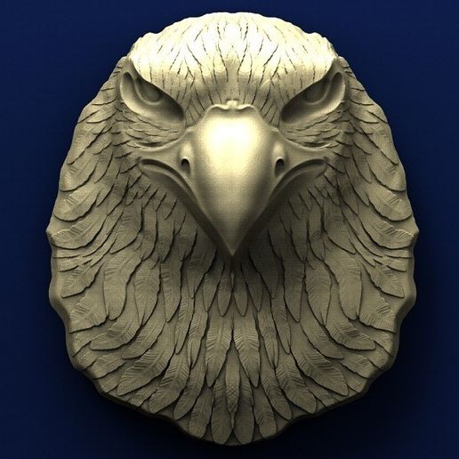 A011. Eagle Head.jpg Eagle head