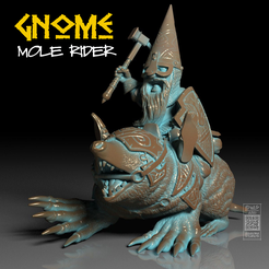 AD_Miniatures_12.png Gnome taupier