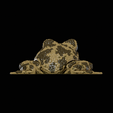4.png Flexi Frog