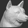 12.jpg Doge meme Shiba Inu head for 3D printing