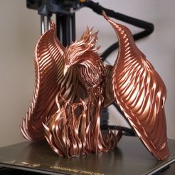 P1051515.jpg Archivo STL Phoenix・Modelo de impresora 3D para descargar