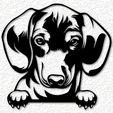 project_20230415_1148007-01.png realistic dachshund dog wall art doxie puppy wall decor 2d art