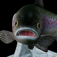Rainbow-trout-trophy-24.png rainbow trout / Oncorhynchus mykiss fish in motion trophy statue detailed texture for 3d printing