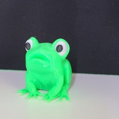 20230212_110154.jpg Little Frog (confused or angry frog)