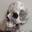 Screenshot-2024-09-03-125934.png Skull Lamp hand - halloween
