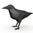 1.jpg crow figure 2