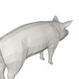 10004.jpg Pig- farm animal