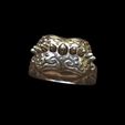 Punk rings by mwopus - 3D model - Sketchfab20180119-005876.jpg Файл STL Punk rings・3D модель для печати скачать