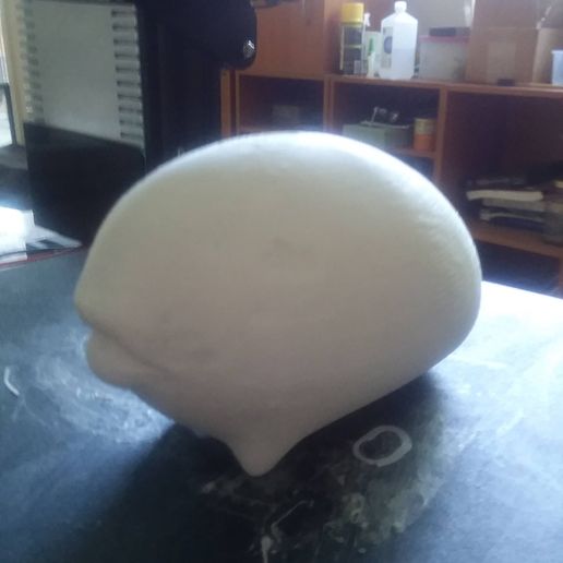 3d print of mole grub.jpg Mole Grub Blank