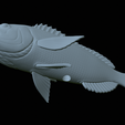 Dentex-statue-1-46.png fish Common dentex / dentex dentex statue underwater detailed texture for 3d printing