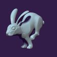 03.jpg running rabbit