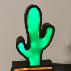 cactus1.jpg Licht Kaktus 🌵.