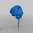 140ac2a32dc46ac13151fc4c1f92c1b0.png Mon cerveau ; scanné à partir d'une IRM