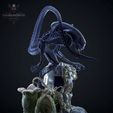 IMG_20260411_163241_f69da7.jpg Alien