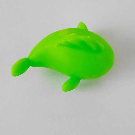 fishcima.jpeg Little Fish