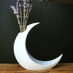 moon 1.jpg Free STL file Minimalist Moon Vase・3D printable design to download, skelei