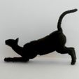 IMG_20191122_141857.jpg STL file Oriental Cat BJD・3D print design to download