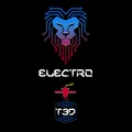 ElectroT3D