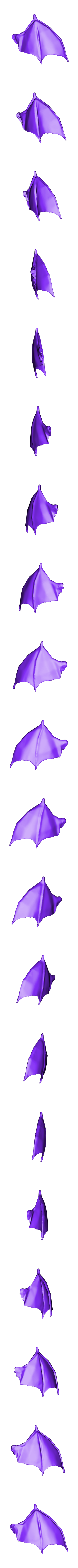 charizard_left_wing.stl 沙蜥