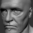 5.2.jpg Yondu Udonta Bust Guardians of the Galaxy