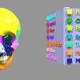20.jpg Skull bones colored separable labelled