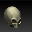 4.jpg GREY ALIEN SKULL