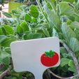 20190911_115539.jpg Fichier STL Signes des légumes - Tomate・Plan pour imprimante 3D à télécharger