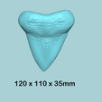 size.png Megalodon Tooth - Jurassic Fossile Real Size