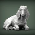 Baby-Boer-goat-lying-down3.jpg Baby Boer goat lying down 3D print model