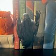 IMG_3426.jpg Dementor Wraith Floating Book Nook Bookish Decor