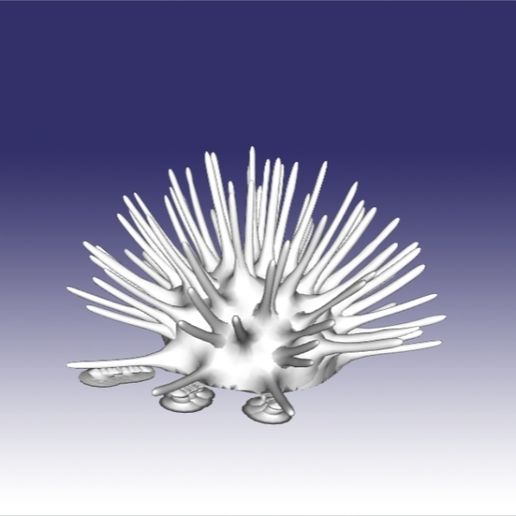 kestane kalın0005.jpg Seeigel