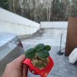 330074860_927532678243473_1979243203397387185_n.jpg Hydroponic System  for "PVC 75mm"