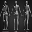 Female-Human-Skeleton-3D-Model-sculpted-by-Yacine-BRINIS-004.jpg Highly Detailed Human Skeleton (Female)