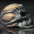 default.5303.jpg Jason X Mask - Friday 13th movie  - Horror Halloween Mask 3D print model