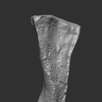 HYPA BONE2.png Dinosaur Bone - Hypacrosaurus metatarsal