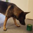 dog toy10 2000px.jpg Dog Toy to keep your dog from boredom