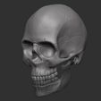 5.jpg sculpted human skull