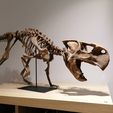 IMG_20220407_202253.jpg Download STL file Dinosaur skeleton - Psittacosaurus V3 • 3D print template, Think3dprint