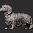 dachshund-longhair9.jpg Dachshund longhair 3D print model
