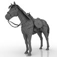 Horse_5.jpg Equipped Horse 3D model