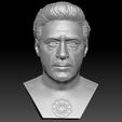 13.jpg Tony Stark Robert Downey Jr Iron Man bust for 3D printing