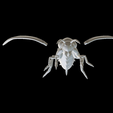 Capture-d’écran-2023-07-06-à-12.32.58.png wasp bee