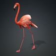 75.56-CM.jpg DOWNLOAD Flamingo 3D MODEL ANIMATED - BLENDER - 3DS MAX - CINEMA 4D - FBX - MAYA - UNITY - UNREAL - OBJ -  Flamingo DINOSAUR DINOSAUR Flamingo DINOSAUR BIRD