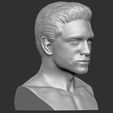 8.jpg Handsome man bust ready for full color 3D printing TYPE 1
