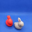 1615917742498.jpg Small rabbit - Petit Lapin
