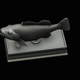 Peacock-Bass-statue-box-1-2-25.png fish Peacock bass (Cichla ocellaris) fish in motion base box for 3D printing