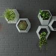 wall.jpg BRIGHTEN UP LIFE LIVING with 3 different Indoor Wall Planter Honeycomb Design bonus 3 Planter Pots with Drainage Hole