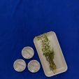 WhatsApp-Image-2025-07-29-at-12.40.28-PM-1.jpeg Round pot with aquarium base